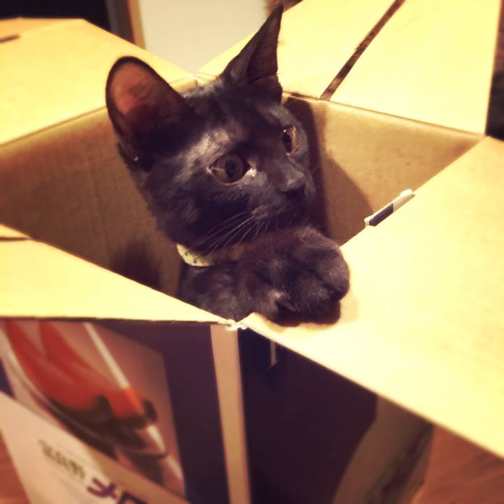 2147644f 4f2b 425b 9e43 74ed33e98017