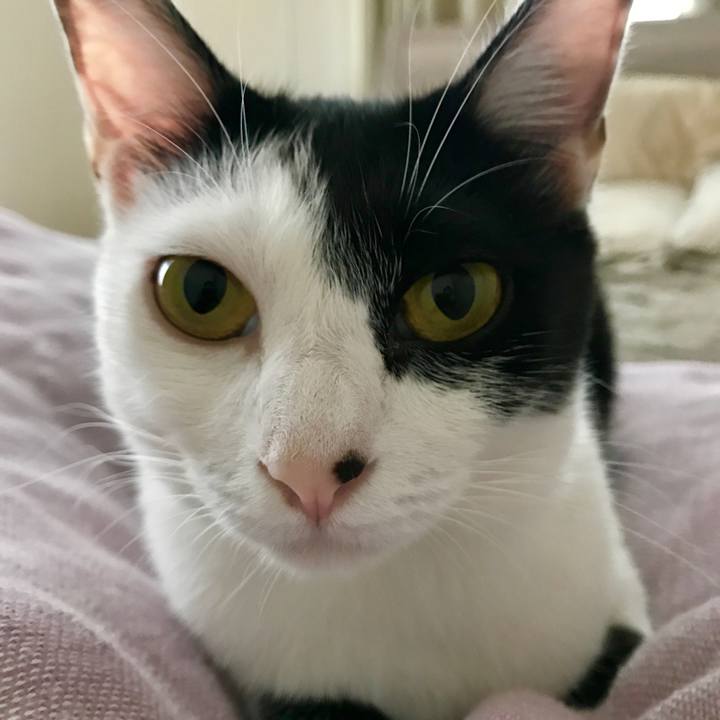 2147947e 42f9 4213 87b8 8e55f37496a3