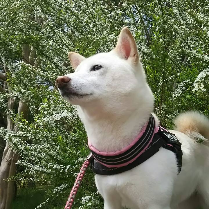 21482e84 835c 4f0a 9cc5 a84fb53ba2ad