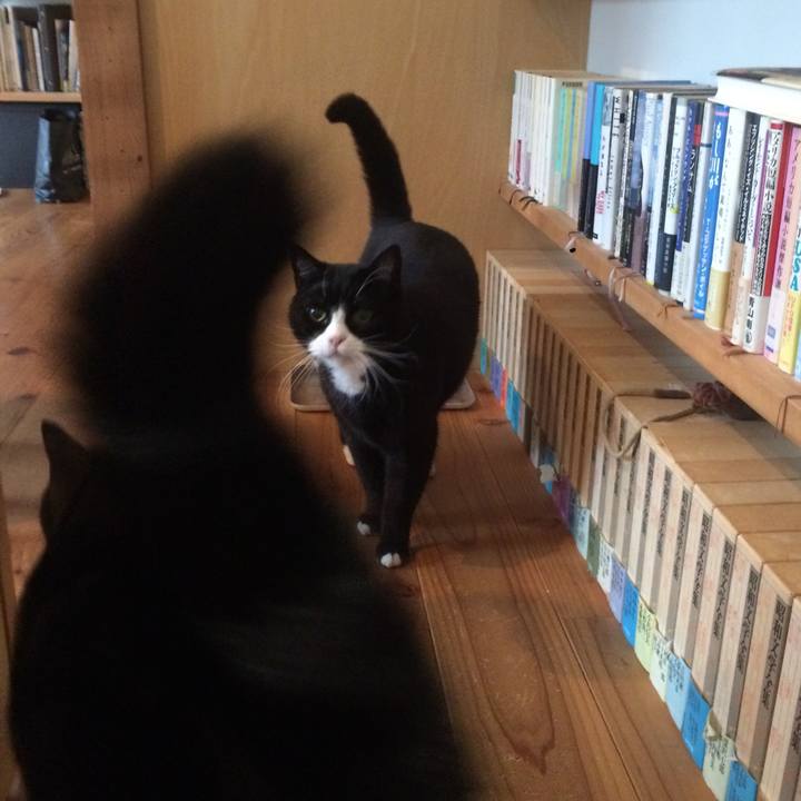 2148e0a9 f5d3 4ee7 bd6e 9863f1f01a62