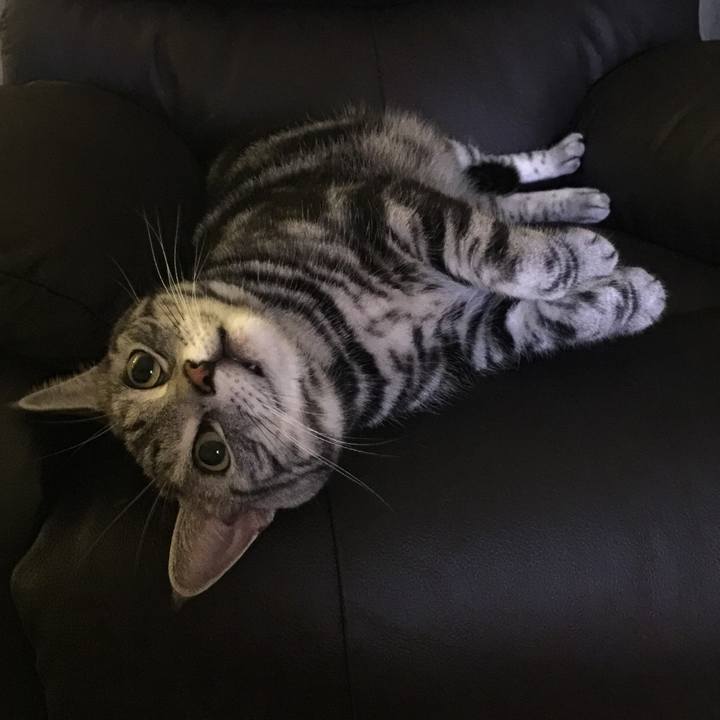 2148fbff 17fa 4869 899e 0e66f77ed915