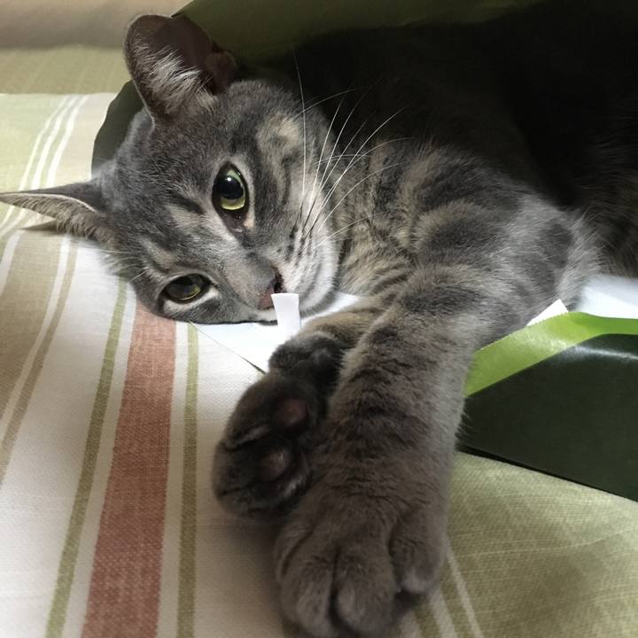 2149819d 41a5 456d a6b5 527ed52ac664