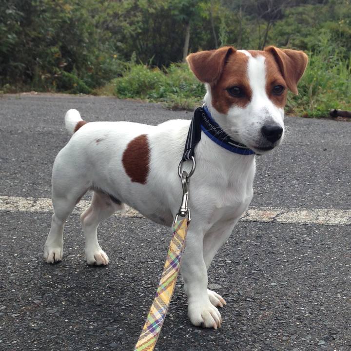 214a048d a12d 4de3 bb4c 550cbae1359b