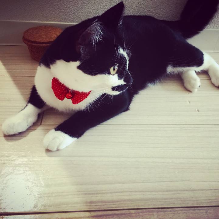 214aeb00 c9b7 4165 8db3 d564f6fb1bda