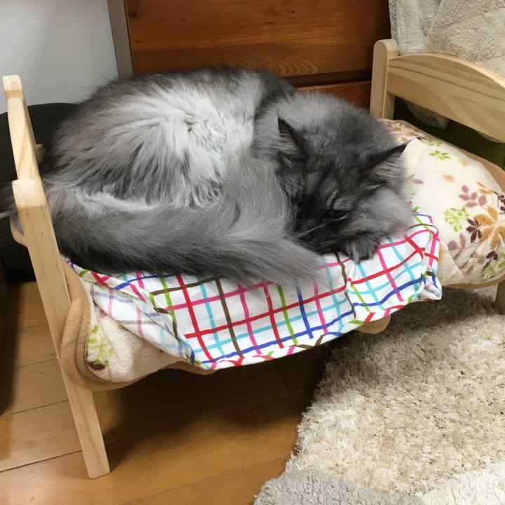 214b727f 63c9 42c6 abcf ac89f9cbddb2