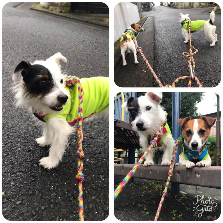 214b9d68 914a 4bfe be32 ea31a52e543d