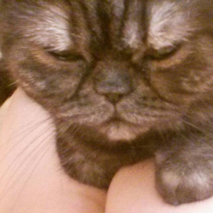 214bf951 0d3d 4a7c a183 f1c37e609a97