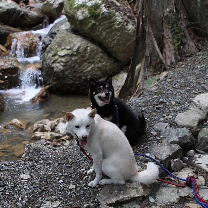 214c34b1 181d 4da3 bb97 4d0e4225e8f1