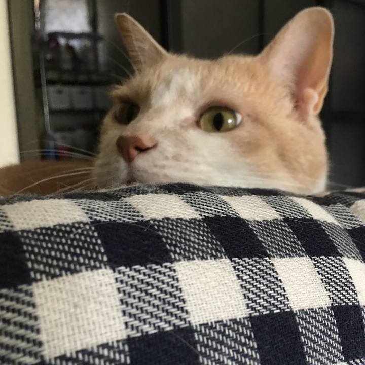 214cb09d 5768 47d3 9c3c 27d4776bc06e