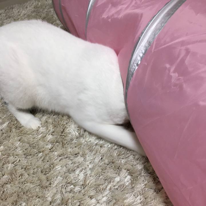 214cd5e5 31e1 4812 baf6 281917b1b89f