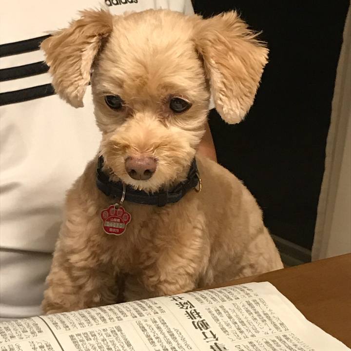 214ddd62 7fa4 4e59 8dca 2eeaca483838