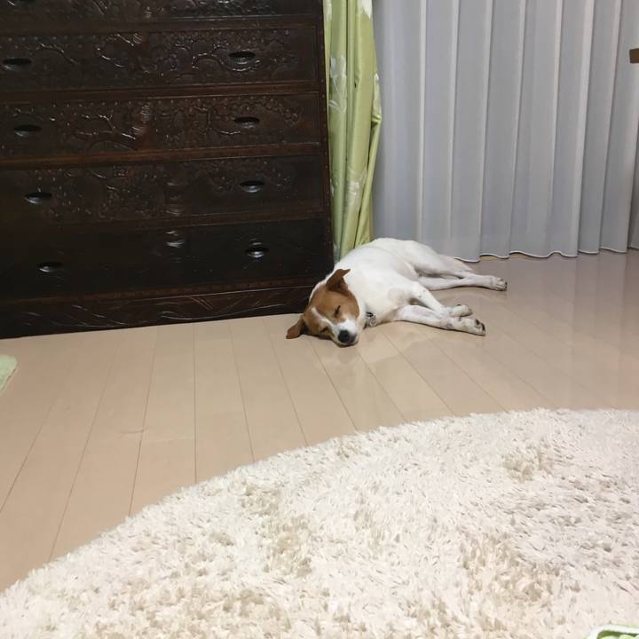 214e272a 6373 4b8a 9a12 ec707caeab81