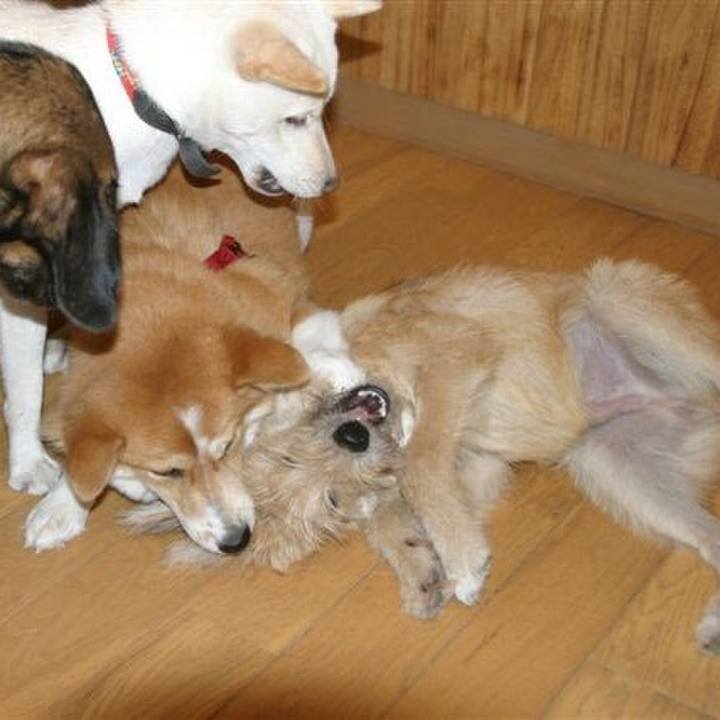 214eb856 129c 480d b5d6 a02f5d810de8