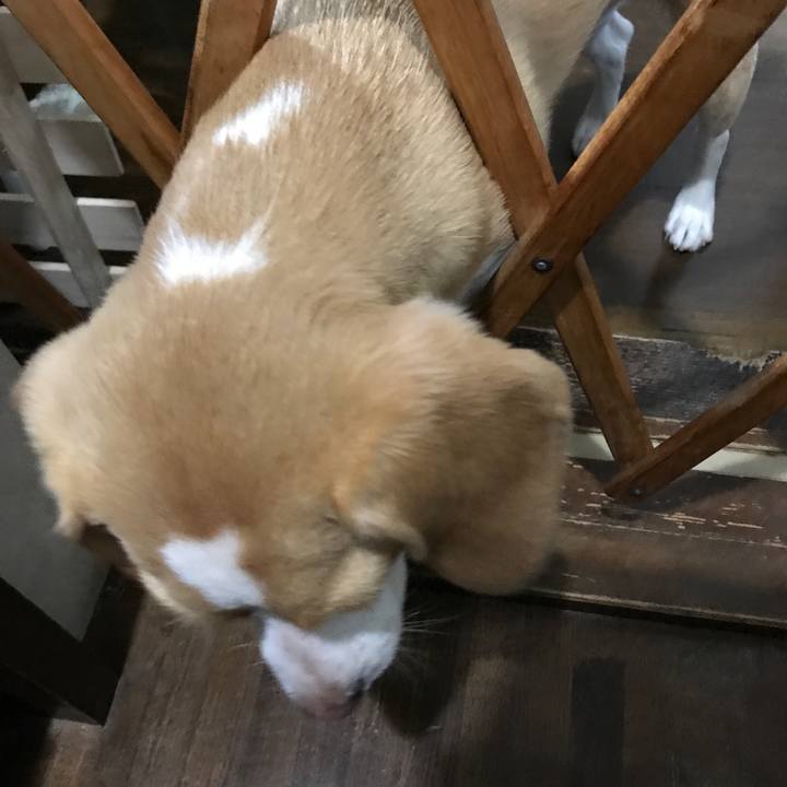 214efb00 beb0 4c78 b00a 5e54dff7af8c