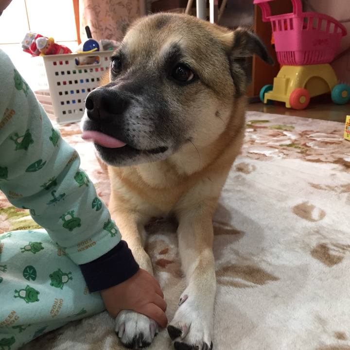 214f118c 3917 4e47 aa36 7407aba6958c