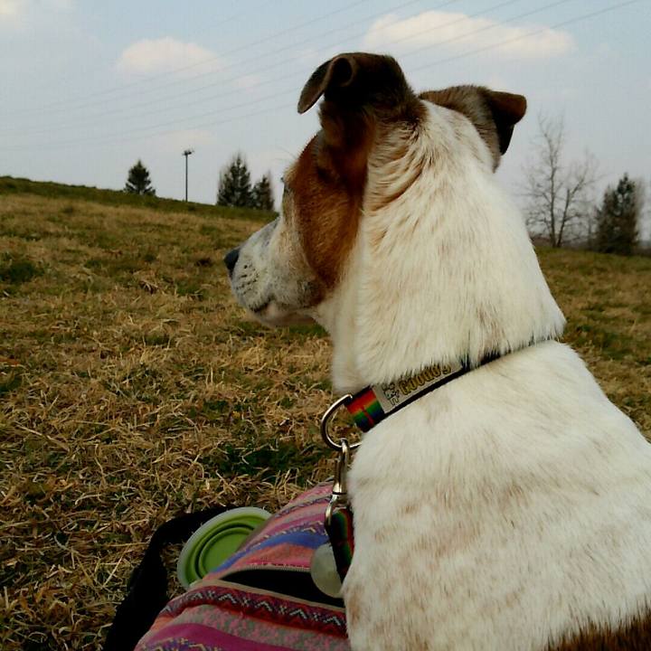 214f3077 5d30 44c5 a587 f327fb3a59f4