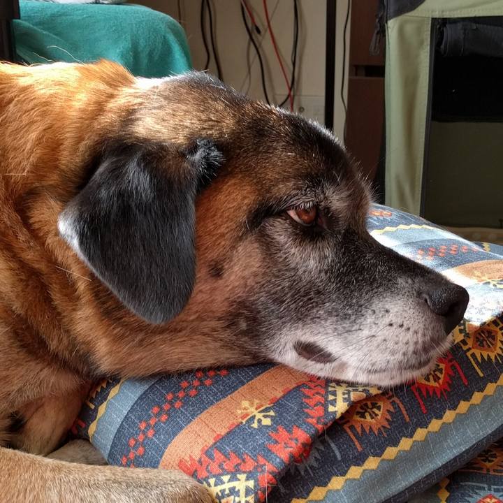 214fec90 0135 4a80 b3dc ec235df2ff0f