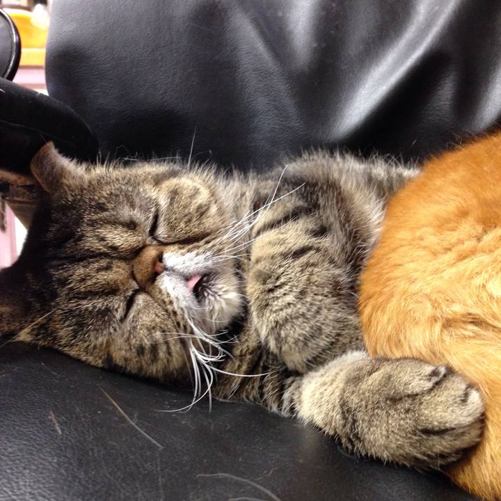 21504cd8 837e 4518 b712 4f8889ec2b7f