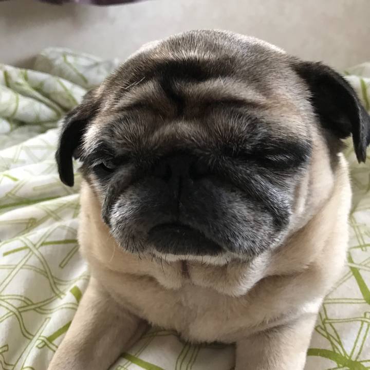 21508c56 7851 4591 beb2 c6a914e57b8a