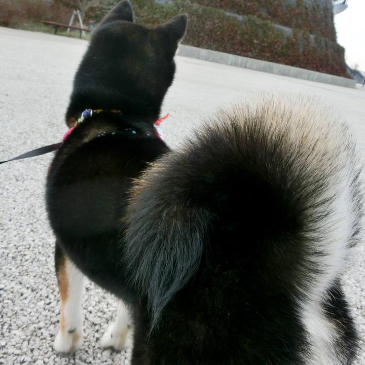 2150b39a e313 4f9a 86f0 ee5dcc21e710