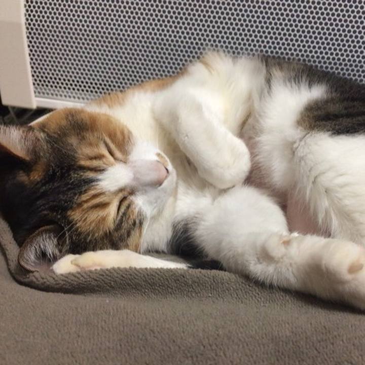 2150f4e7 d3cd 46c9 9b3e 631db4e547b3