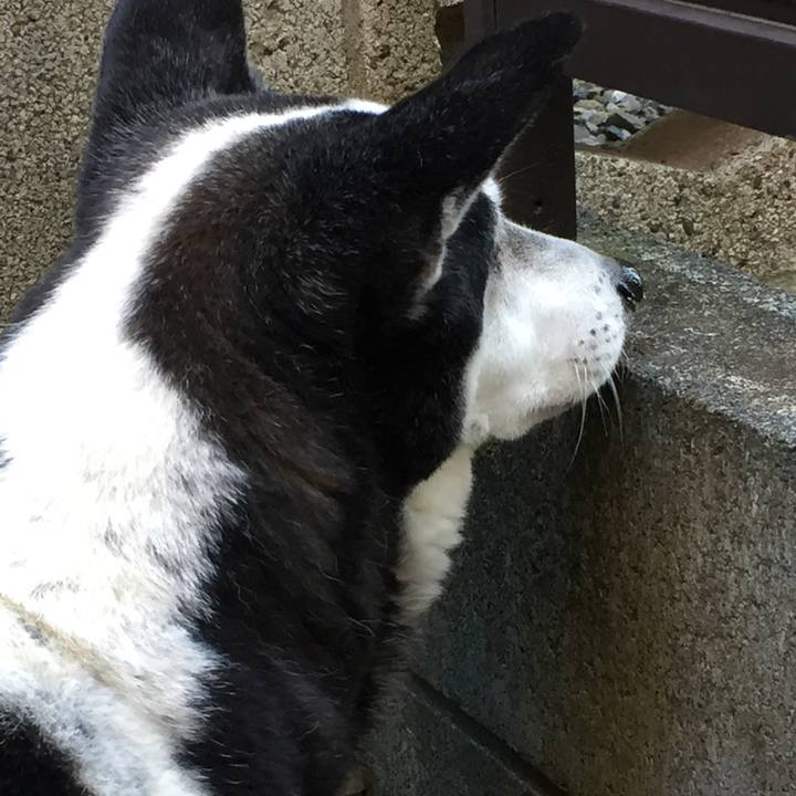 215317fb 0c04 4159 8138 62abe1ec18ae