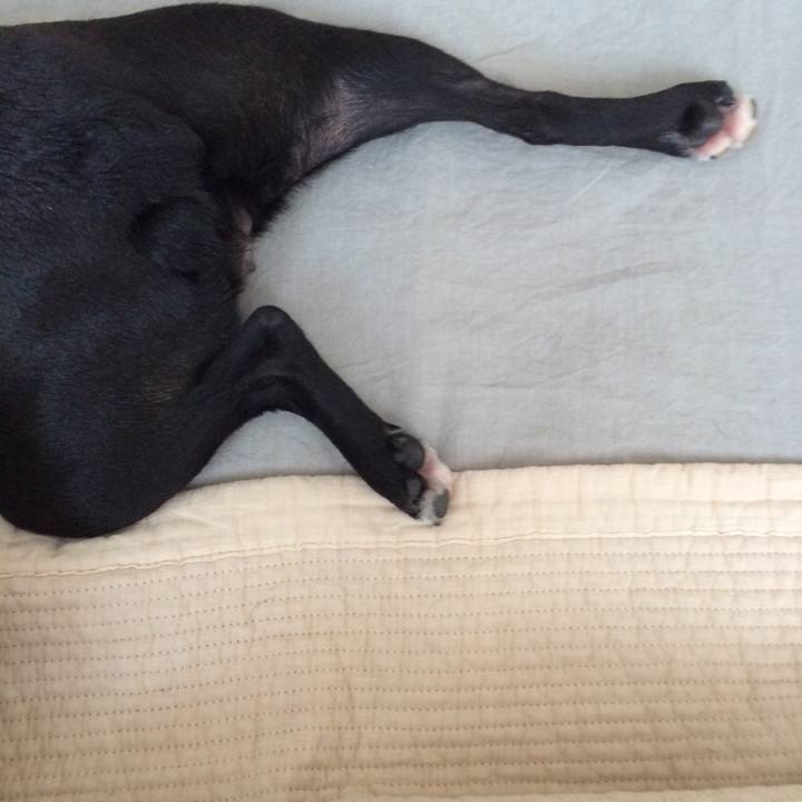 2153230a 604a 4ed2 aab8 f2b6c6fd371a