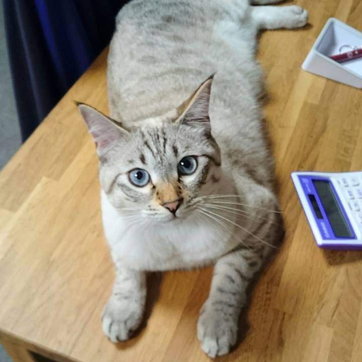 21533635 2d5a 40ff b058 fb0ec10042a9