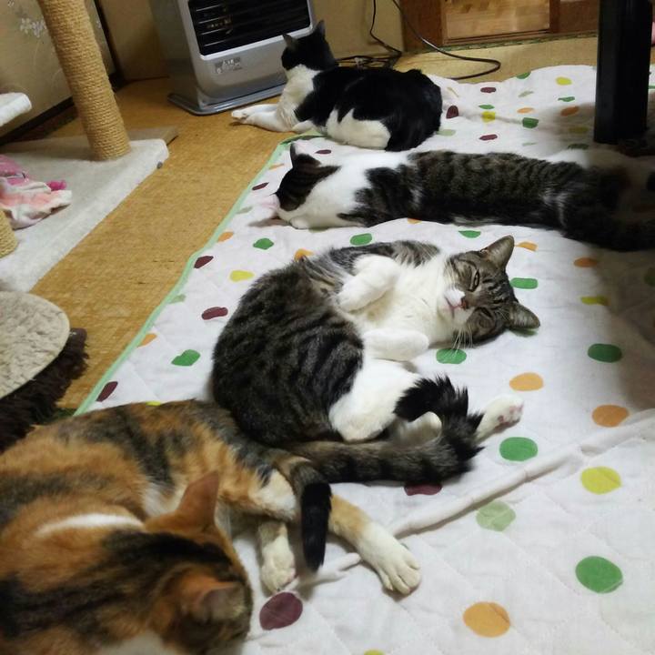 2153713b 7728 4629 afed 649f696b09e9