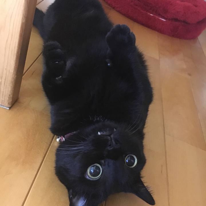 2153ce3e dfce 4fc0 8464 ca817ff8a404