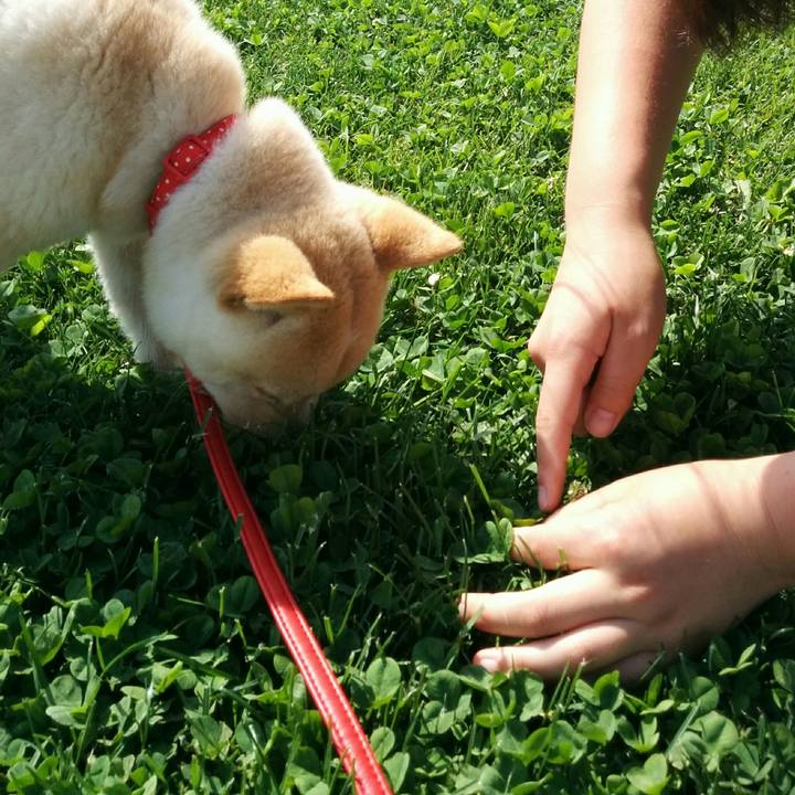 215430d8 d425 40d3 9bbf f9925511bb73