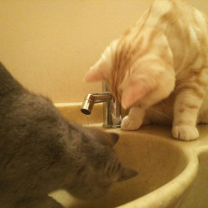 21547818 ab38 4a02 98fa 7efcddbe8b96