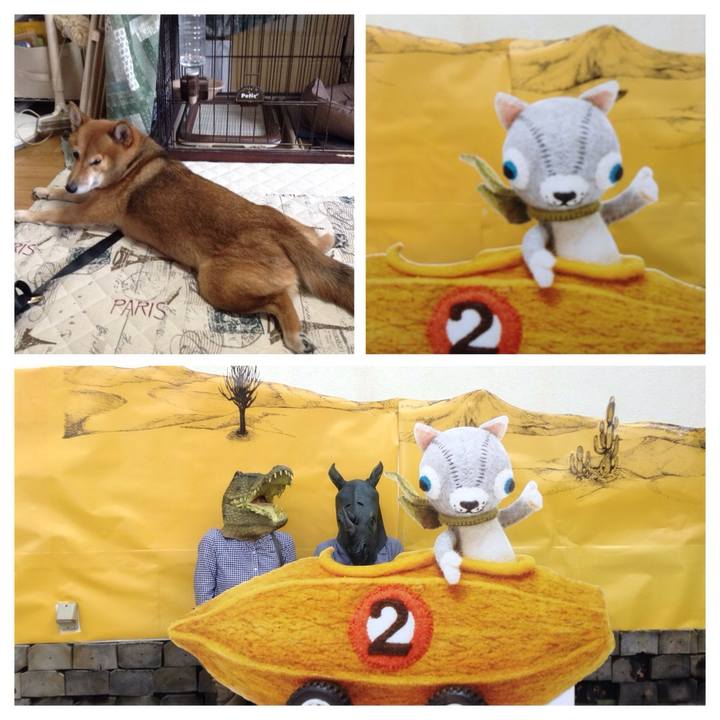 21556d73 7e4e 43a0 8a56 b8fddba91a56