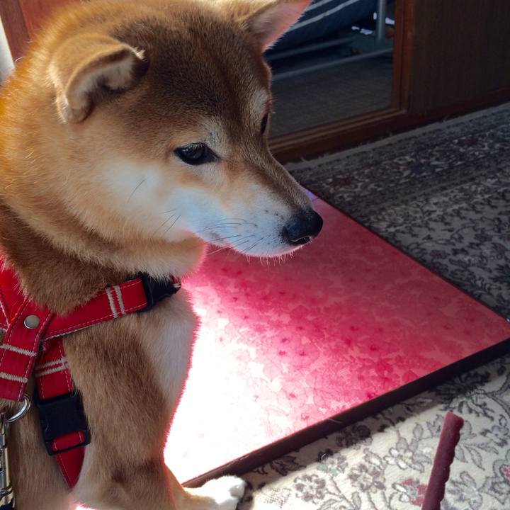 21558b47 2c0d 4a08 b076 9a3b88b5d835