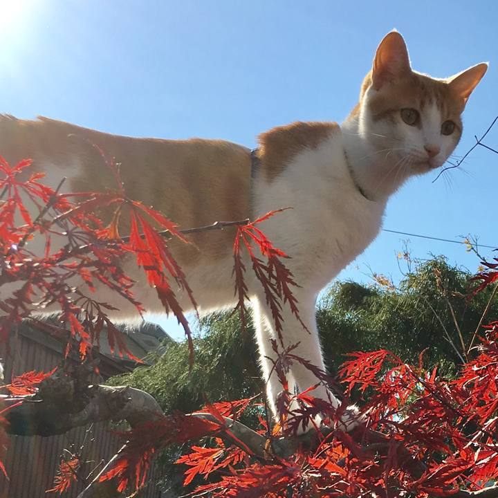 21560bc5 8857 4a26 8555 ca8b18ab0e5d