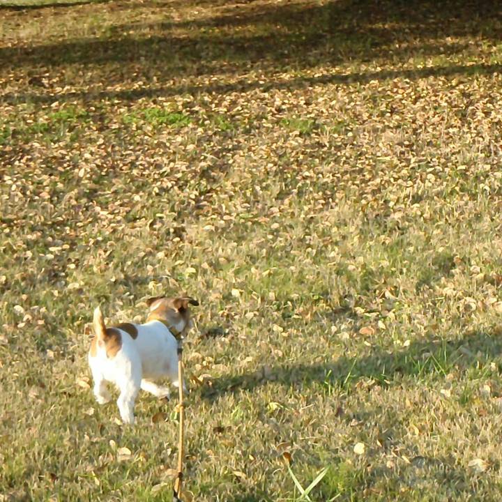 21562f80 99dd 4c0a bbcb da878a41dbe3