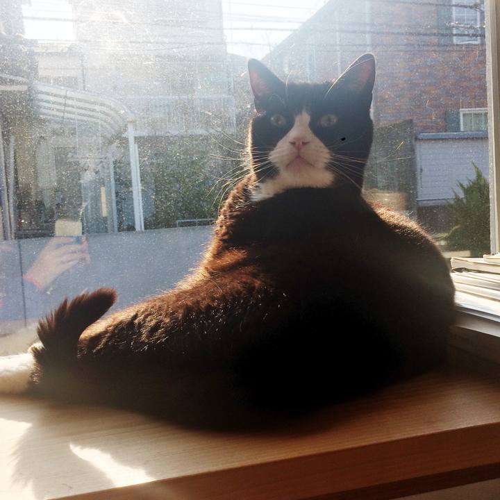 21563339 f5dd 4e70 82bf ccb6df4ead17