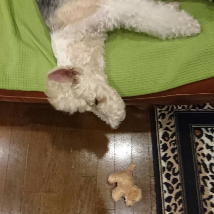 215638bd a35d 4794 a005 6527698cb51a