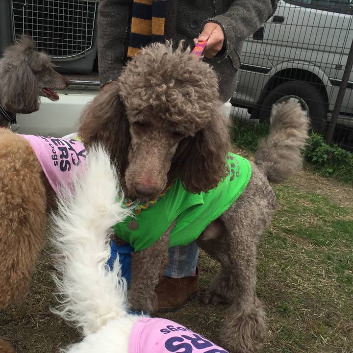 21565a2c 3904 4f99 bfb7 9ad8f366b4d5