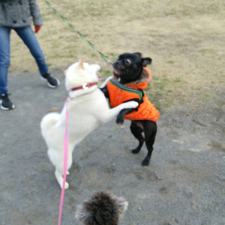 21565df0 9afa 4d77 b12e c06cdbba7e9c