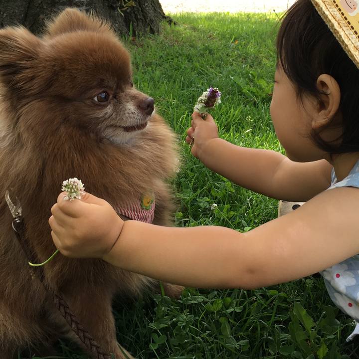 2156a8d2 4b52 40ff 88fc 5709157d547f