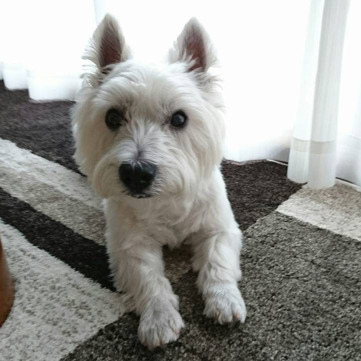 2156fece dffd 4dd2 a87a 94720846f119