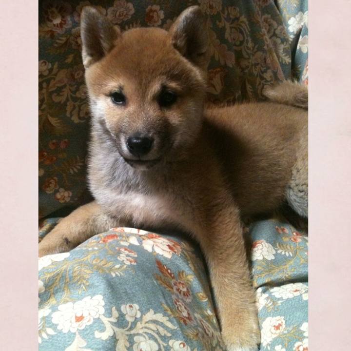 2157c8f0 7e84 408a a9ea 1b63d56f78ce