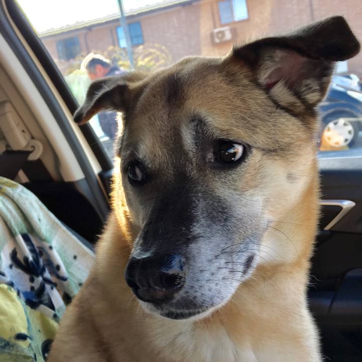 2157d8ed 1745 4286 bbb8 f11c1529145c