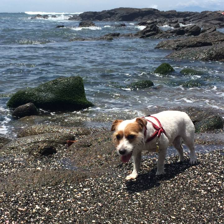 21586997 5573 4576 abb3 019e5b1b62d3