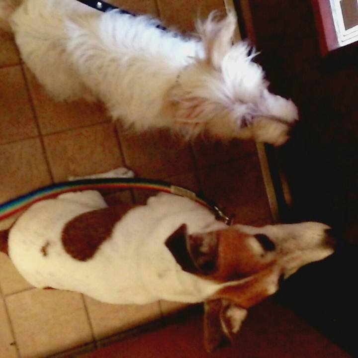 21587555 921f 47f1 9f86 73ef6fa2c6d7