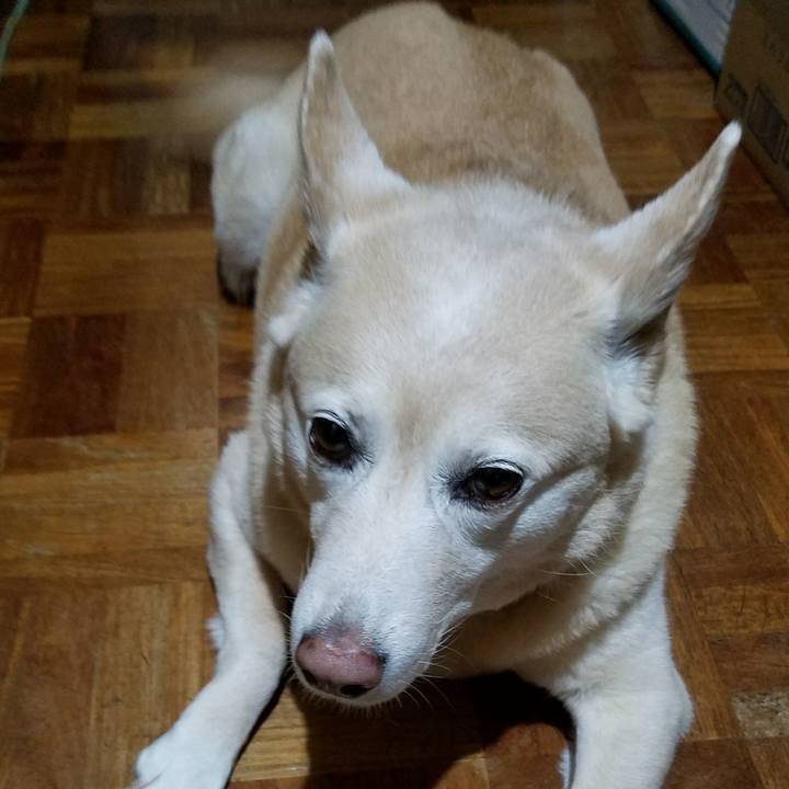 215920dd 58bf 43df 8bf3 92dfa97a00de