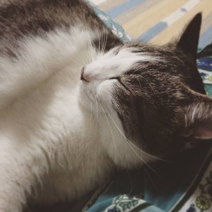 2159b1c9 608c 4708 bf54 8e93fc9308e6