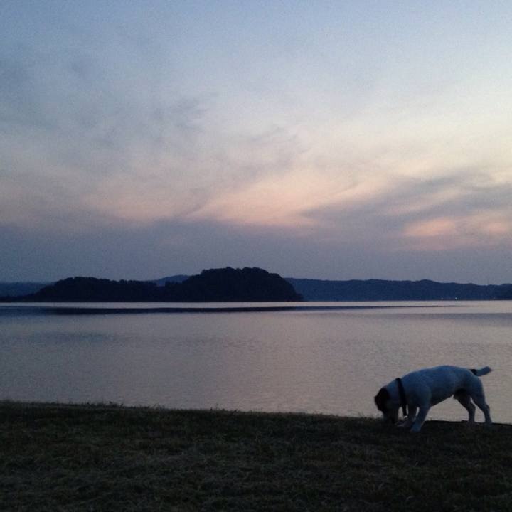 2159e0cb 7244 44d8 8a3c 94a815508963