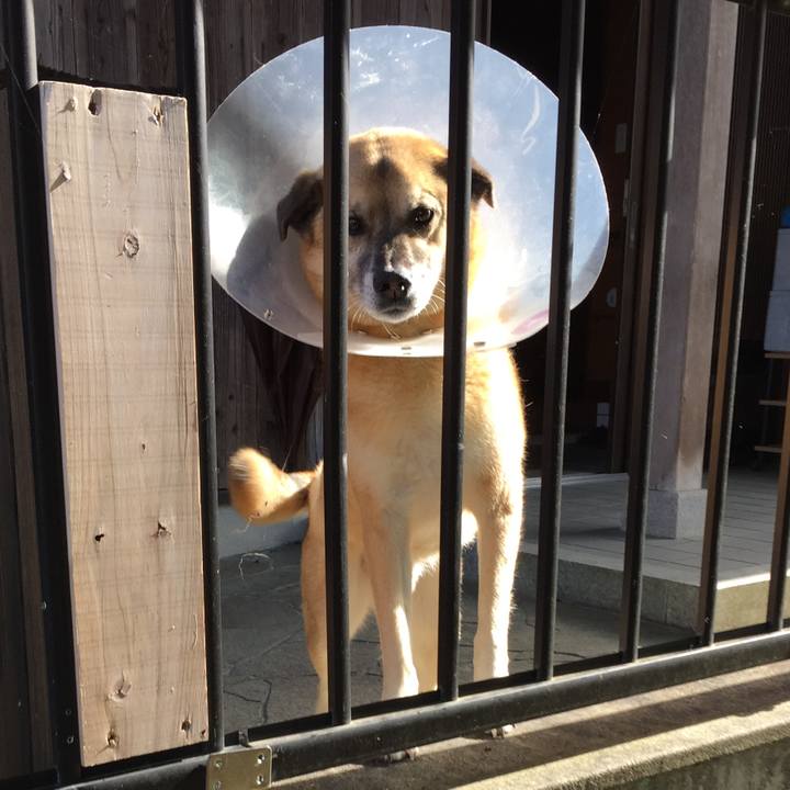 215a1676 5f6a 4968 93ab bc0061019908